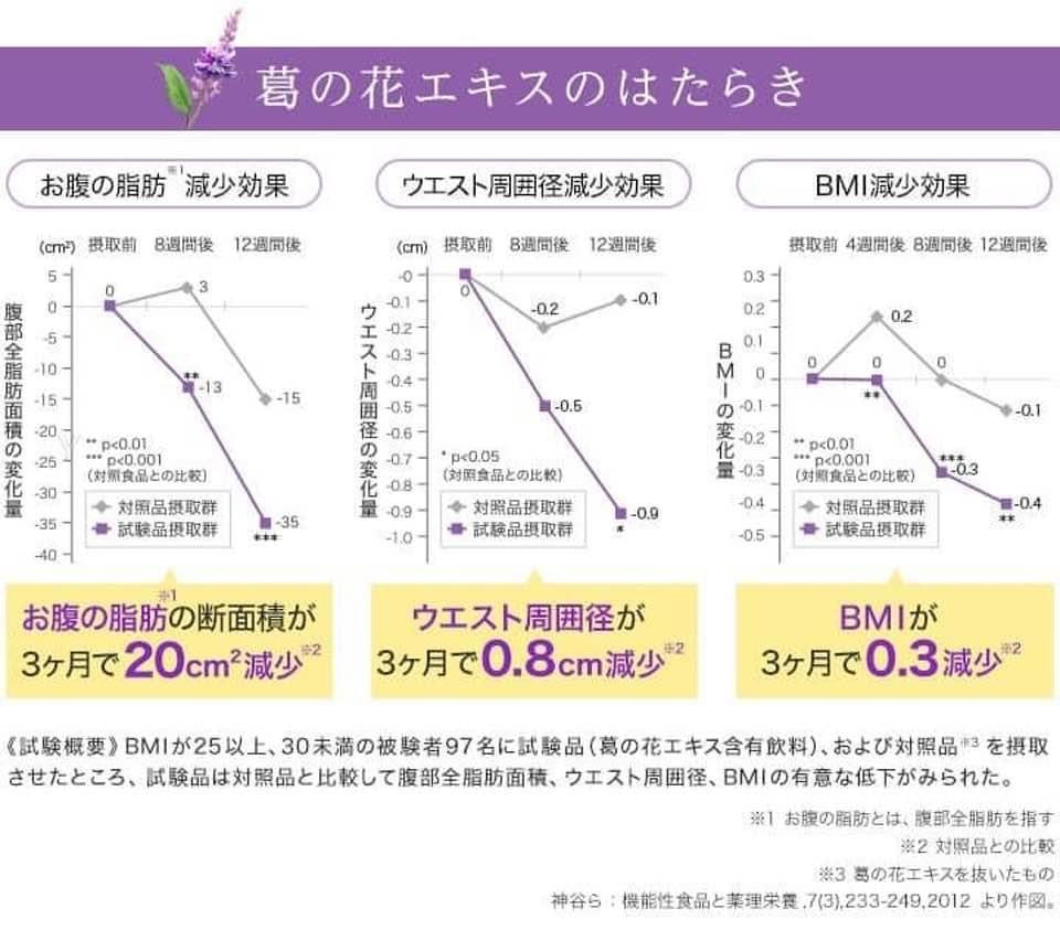 日本境內版DHC沖泡式葛花茶20包 – 伊家日本直購通販 iika Store