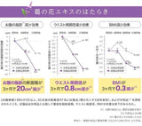 日本境內版DHC沖泡式葛花茶20包