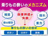 🇯🇵日本 EISAI小童暈浪糖 6粒裝 檸檬/提子