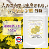 日本製 月見草油丸 30日份