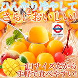 日本天然生活一口芒果布丁50粒