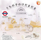 日本扭蛋日本貓毛收藏瓶