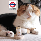 日本扭蛋日本貓毛收藏瓶