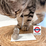 日本扭蛋日本貓毛收藏瓶