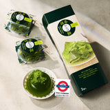 中島大祥堂 超人氣蕨餅禮盒