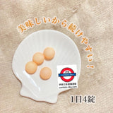 日本臟器製藥　葡萄柚口味B群120粒