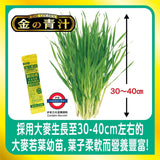 日本Barley金之青汁
大麥若葉粉末 14支入