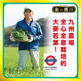 日本Barley金之青汁
大麥若葉粉末 14支入