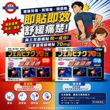 日本薬局フェルビナク70mg 14