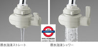 日本　Panasonic TK-AS47 鹼性離子淨水器 專用濾頭