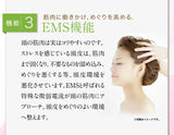 11月限定　日本 belulu brilliant hair mini 4合1 RF EMS LED頭皮按摩美容儀
