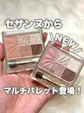 日本 Cezanne 5色多功能色盤色
