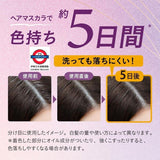 日本製 KAO 花王 Blaune Retouch 魔法染髮筆 14ml