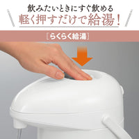 日本製 象印 ZOJIRUSHI 3L 真空保冷保溫水壺 (銅白2款）