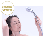 日本 Rerise / Blaune  天然植萃素護染 155g