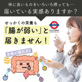 日本製 漢方屋 香焙黑豆茶乳酸菌配方100包入