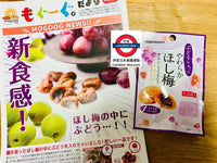 日本製 友口 梅子提子乾 28g