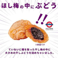 日本製 友口 梅子提子乾 28g