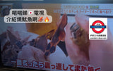 Japan Dry Firefly squid 100g