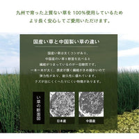 日本製 可調整高度 伊草枕頭 方枕