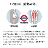 美尻塑形 骨盆底肌訓練器