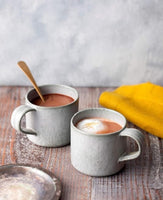 Van Houten Cacao 即沖朱古力奶 milk/rich/ mocha /diet 20支裝