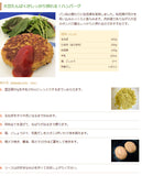 日本 信濃雪 雪豆腐 100g 粉豆腐 高野豆腐