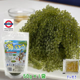 沖繩縣產　海葡萄 50g