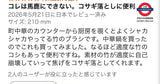 日本製 天然竹ささら 竹筅 竹刷帚
