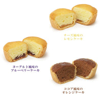 日本中山製菓家庭糕點禮盒(12枚入)