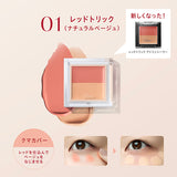 日本VISEE COLOR DUO TRICK CONCEALER雙色遮瑕膏