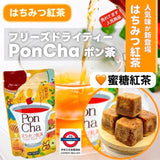 日本 菱和園 Pon Cha 茶磚 濃縮茶塊 即溶小茶磚 10杯裝