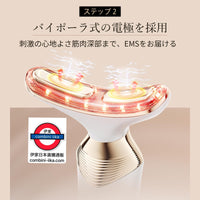 Anlan 24K 5色熨斗