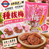 藤沢商事 獨立包裝冇核梅子50g